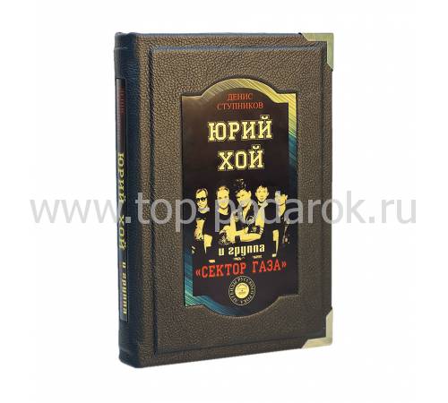 Книга Юрий Хой и группа "Сектор Газа" BG0944M