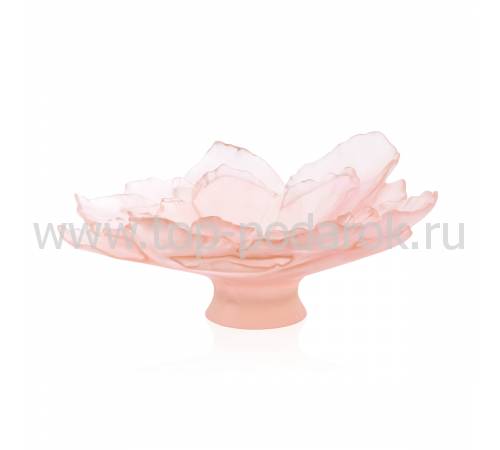 Ваза для фруктов "Camelia" розовая Daum 05732-1
